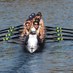 Marietta Men's Crew (@mariettarowing) Twitter profile photo