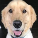 James Petrella - @JamesPetrella5 - Twitter