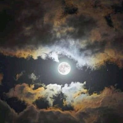 JoseNorea15's profile picture. 🤷🏽‍♂️