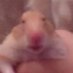 Slow (@slowhandsmcgee) Twitter profile photo Slow (@slowhandsmcgee) Twitter profile photo
