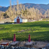 Riley's Farm (@rileysfarm1776) 's Twitter Profile Photo Riley's Farm (@rileysfarm1776) 's Twitter Profile Photo