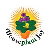 Houseplant Joy(@HouseplantJoy) 's Twitter Profile Photo
