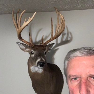 JbutlerIr's profile picture. I’m cool