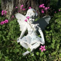 Melissa (@hmschoolmelissa) 's Twitter Profile Photo