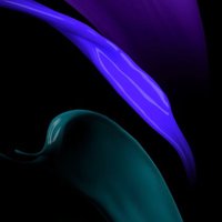 NFTisNewBTC (@nftisnewbtc) 's Twitter Profile