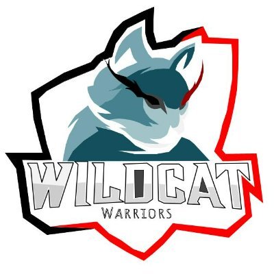 Middle School esports team/club