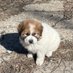 Philip Miller (@philipm10720946) Twitter profile photo Philip Miller (@philipm10720946) Twitter profile photo