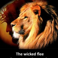 L Robertson (@fbrobertson73) 's Twitter Profile Photo