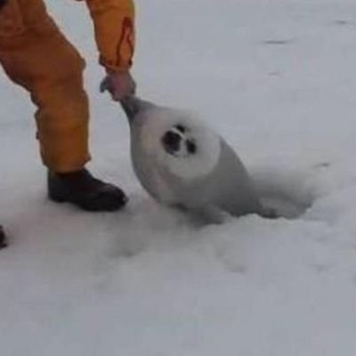 Spritze777's profile picture. この垢は一体なんのためにあるんだ…？？？