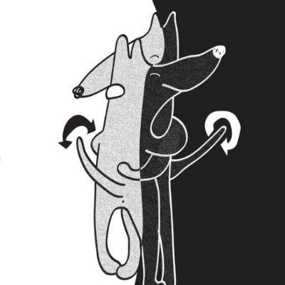 YourAlphaDawg's profile picture. the only dawg you need for your NFT alpha ;)
Designing since Web 2.0