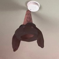 it’s (@the__p00h) 's Twitter Profile