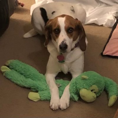 cubfan2308's profile picture. Conservative, Christian, sports, music, and coffee fanatic! Small Government, America First. @cubfan231 on TruthSocial