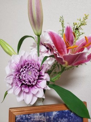 fGanaXW3uC27yQ5's profile picture. 