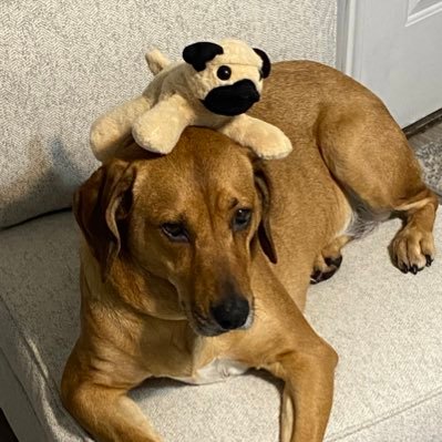 bjorkmanj1218's profile picture. Mom, Reader, Wolverine