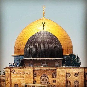 MohamedMzezo's profile picture. لا