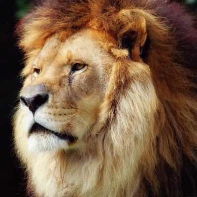 Paul4553580's profile picture. 