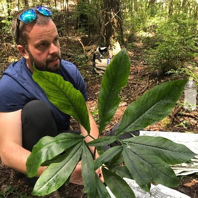 Arboretum Curator @OBGHA | Insta: @alifeinthetrees & @florajaponica | Member: @IUCNssc Global Tree SG & Seed Conservation SG | Fellow: @RGS_IBG