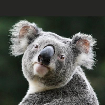 HappyAgain222's profile picture. 