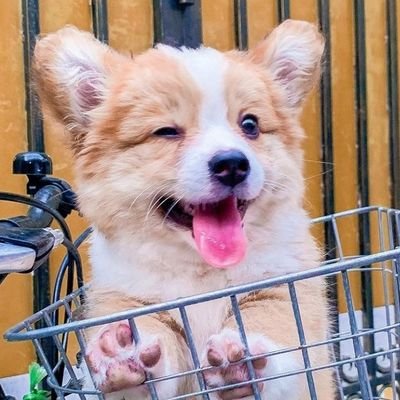 아웅💘さんのプロフィール画像