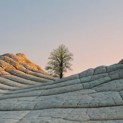 9ER0lqFHoDZGXoE's profile picture. 