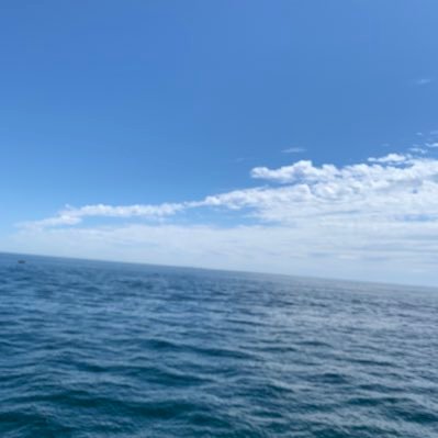 LZW28648205's profile picture. 