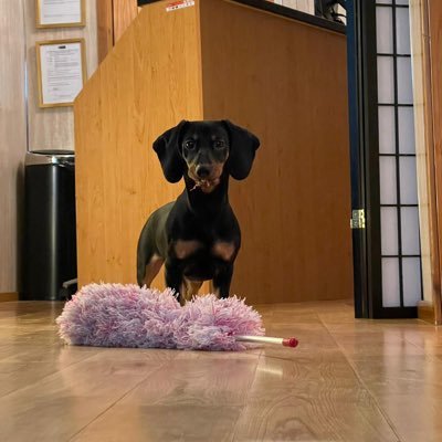 Rorylivesagain's profile picture. 