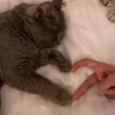 ie50ii's profile picture. كسرنا حواجز كل شي نخافه.