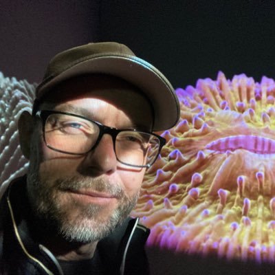 Musikredaktør på Politiken - Music Editor