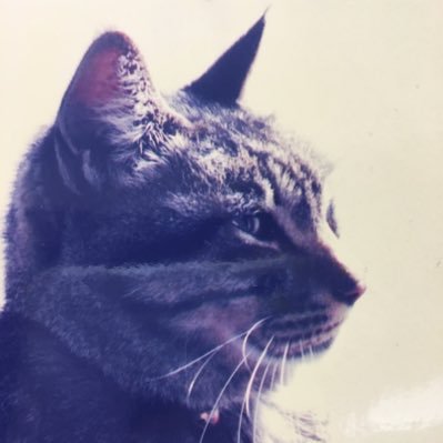 ma-さんのプロフィール画像