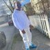 SCAMZ (@mrlaypype) Twitter profile photo SCAMZ (@mrlaypype) Twitter profile photo