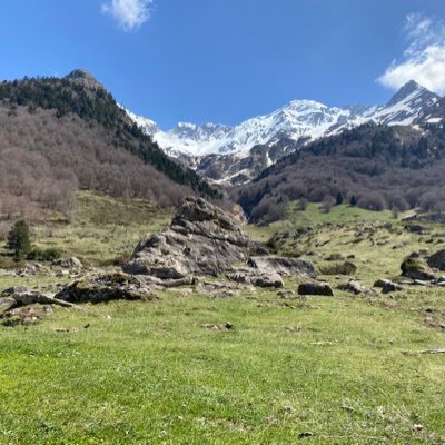 maximaikas's profile picture. 