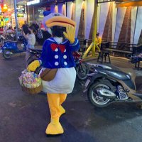 のすけ (@noske_yfm) 's Twitter Profile Photo のすけ (@noske_yfm) 's Twitter Profile Photo
