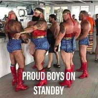 ProudBoys=PansyBoys(@ProudBoysRPansy) 's Twitter Profile Photo