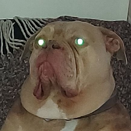 LevereDan's profile picture. 