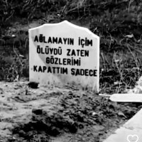 Mert asi (@dtr352505422113) 's Twitter Profile