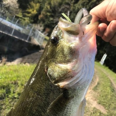 男子高校生 釣り大好きです！宮崎でフローターを出してバス釣りしてます！！ たまにルアーを作ってます