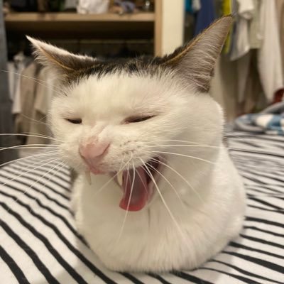 qren1020's profile picture. 幣圈新生