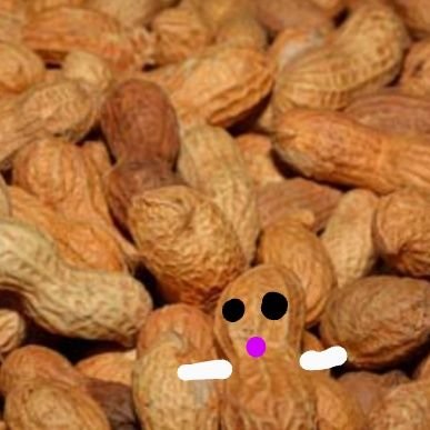 cardanoalmeida's profile picture. A nut for crypto.