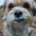 てんてん。 (@ikclynsbs72ei5w) Twitter profile photo てんてん。 (@ikclynsbs72ei5w) Twitter profile photo