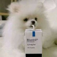 manuzinha__ (@_m_a_n_u__) 's Twitter Profile Photo manuzinha__ (@_m_a_n_u__) 's Twitter Profile Photo