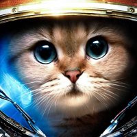 Sarah Anderson (@pluckymay810) 's Twitter Profile