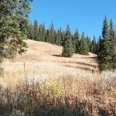 sprocketyoder's profile picture. 