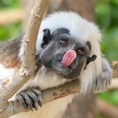 TeamTaCoLiFe's profile picture. Nul