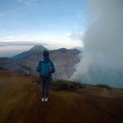 MargauxFeslard's profile picture. @coopTilleuls 🌿🏔️ 🇷🇪