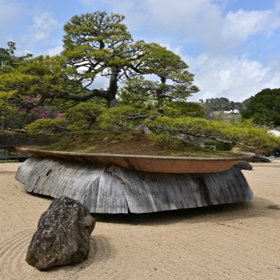 IBD(クローン病)という難病の腸疾患を持っているにも関わらず、登山という無謀とも言える趣味を持っています。病気を持っても安全に登山をする方法を模索中です。 I am looking for a safe way to climb a mountain even if I have IBD