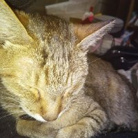 Iwarin K (@k_iwarin) 's Twitter Profile