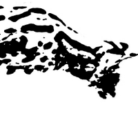 Serval Project (@servalnetwork) 's Twitter Profile