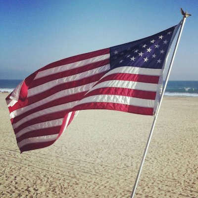 Patriot_I776's profile picture. Conservative - Pure Blood  #God #Country #Family #1A  #2A  #Constitution #TermLimits