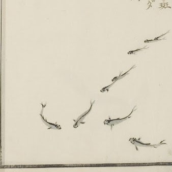 Slamfire77's profile picture. 