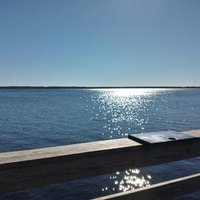 Palm Beachy (@palm_beachy) 's Twitter Profile